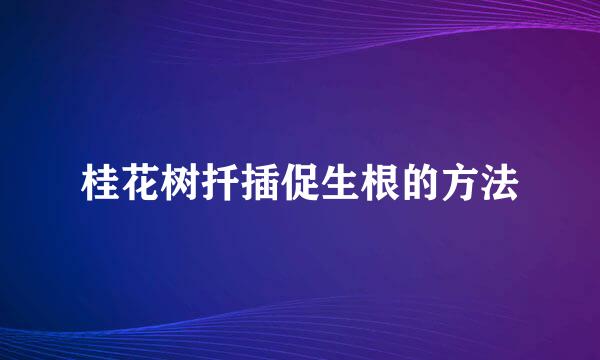 桂花树扦插促生根的方法