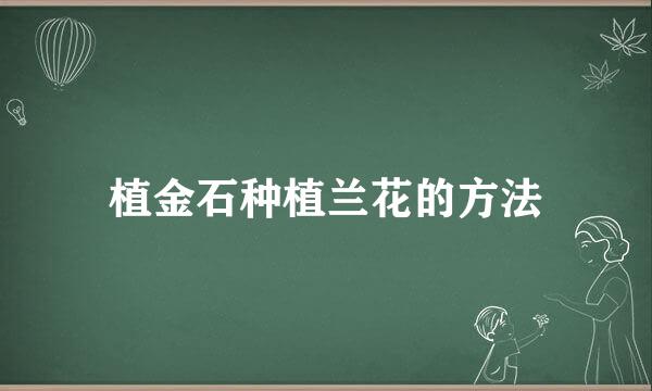 植金石种植兰花的方法