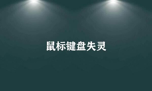 鼠标键盘失灵