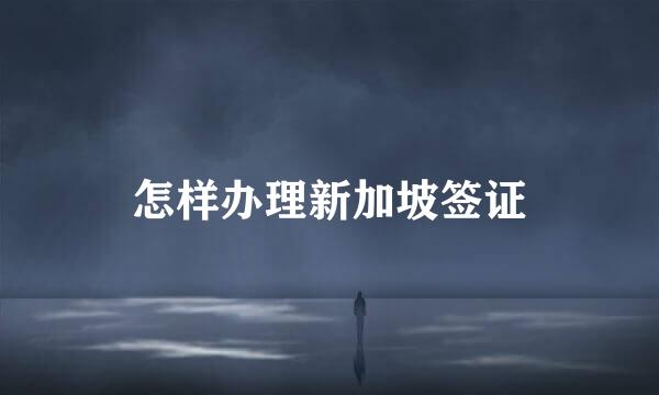 怎样办理新加坡签证