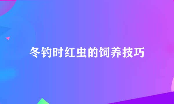 冬钓时红虫的饲养技巧