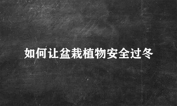 如何让盆栽植物安全过冬