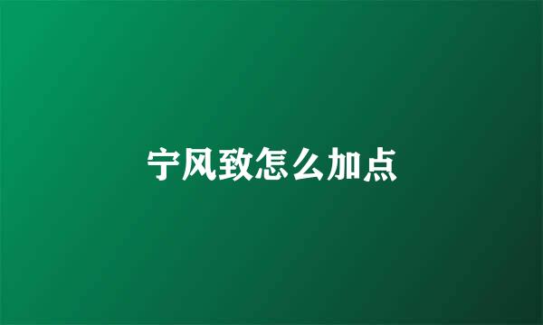 宁风致怎么加点