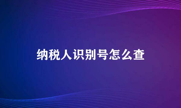 纳税人识别号怎么查