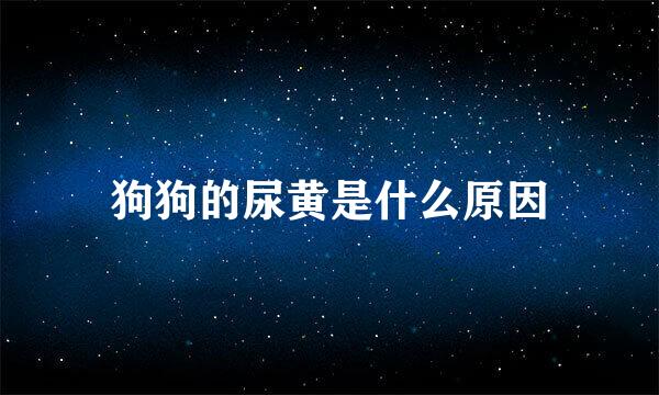 狗狗的尿黄是什么原因