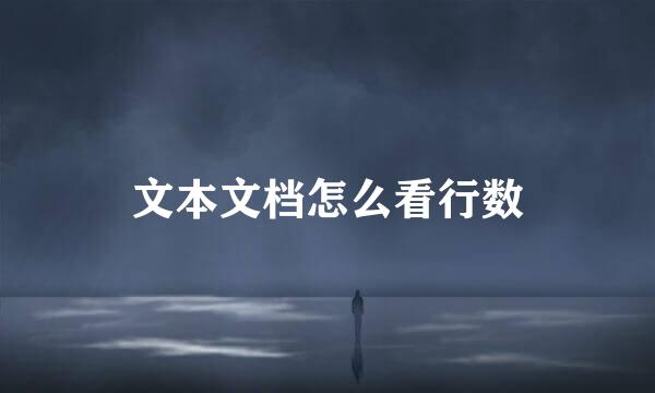 文本文档怎么看行数