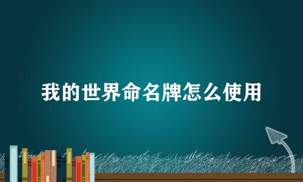我的世界命名牌怎么使用