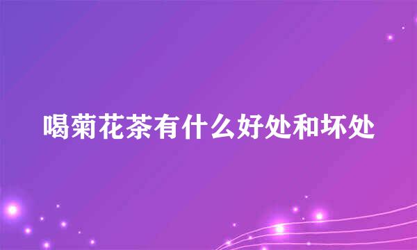 喝菊花茶有什么好处和坏处