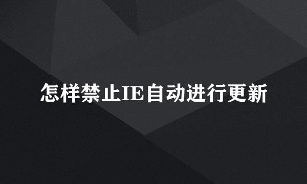 怎样禁止IE自动进行更新