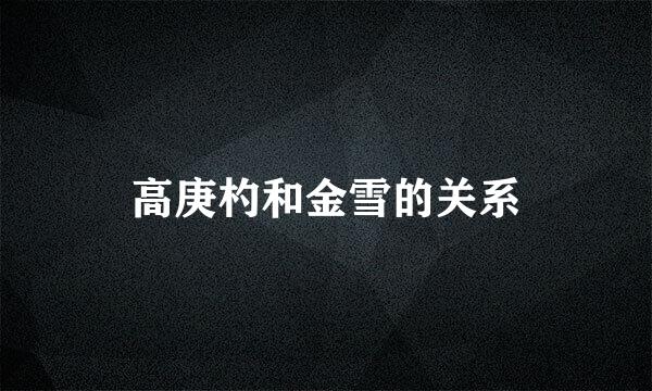 高庚杓和金雪的关系