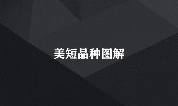 美短品种图解