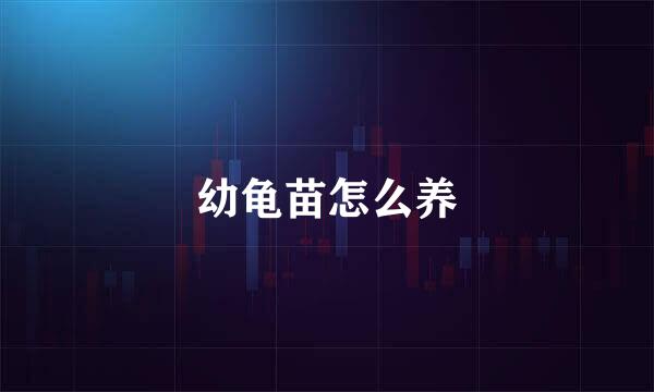 幼龟苗怎么养