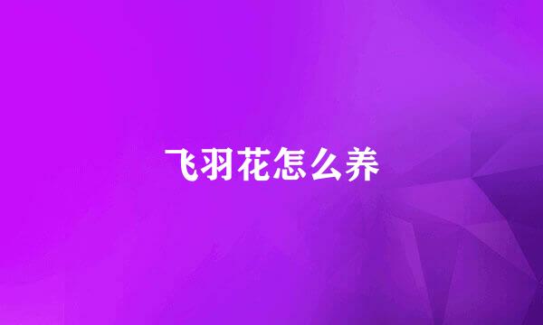 飞羽花怎么养