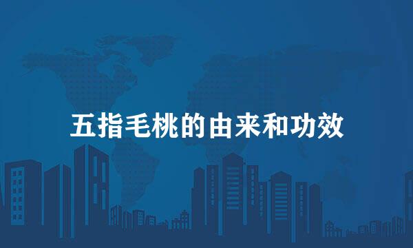 五指毛桃的由来和功效