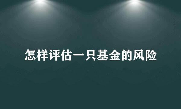 怎样评估一只基金的风险