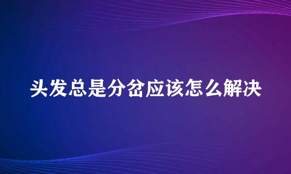 头发总是分岔应该怎么解决
