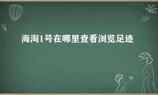 海淘1号在哪里查看浏览足迹