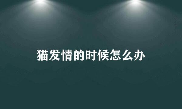 猫发情的时候怎么办