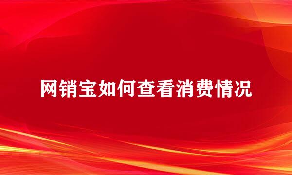 网销宝如何查看消费情况