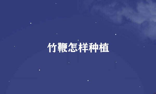 竹鞭怎样种植