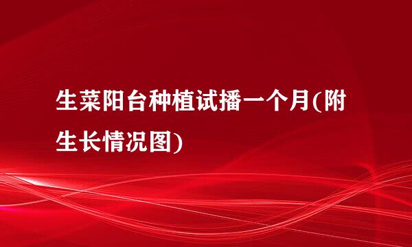 生菜阳台种植试播一个月(附生长情况图)
