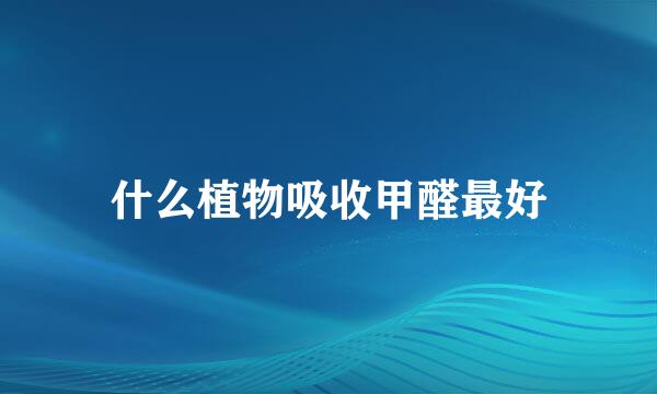 什么植物吸收甲醛最好