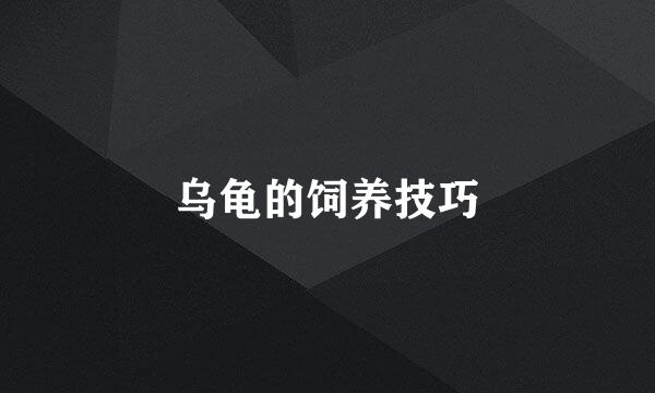 乌龟的饲养技巧