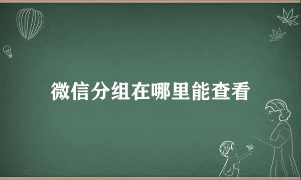 微信分组在哪里能查看
