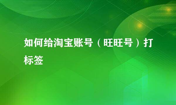 如何给淘宝账号（旺旺号）打标签