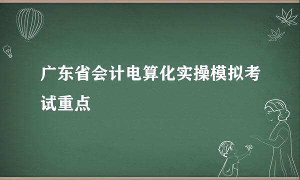 广东省会计电算化实操模拟考试重点