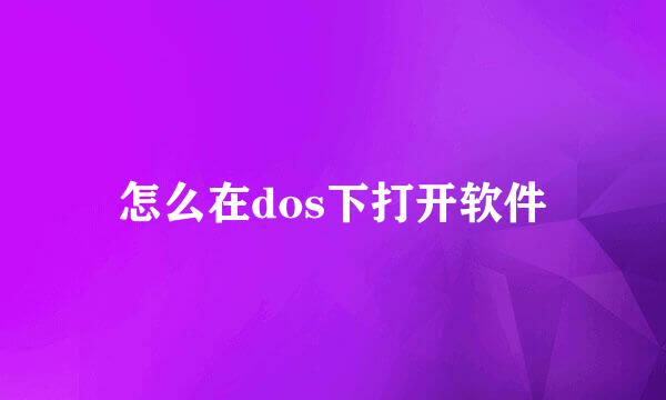 怎么在dos下打开软件