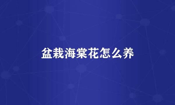 盆栽海棠花怎么养