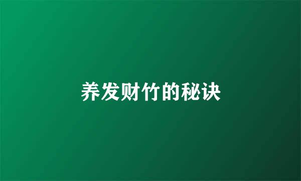 养发财竹的秘诀