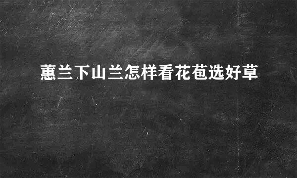 蕙兰下山兰怎样看花苞选好草