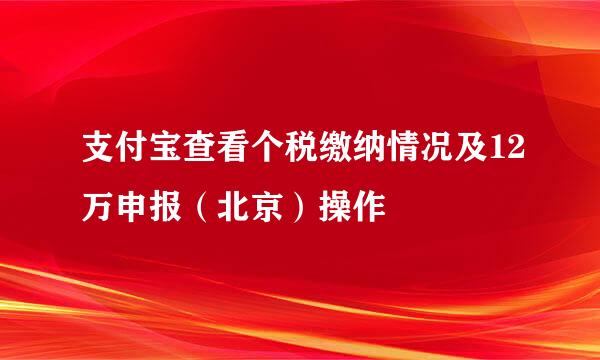 支付宝查看个税缴纳情况及12万申报（北京）操作