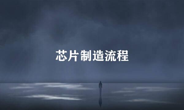 芯片制造流程