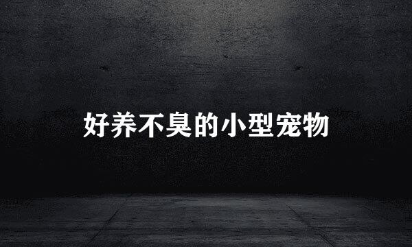 好养不臭的小型宠物