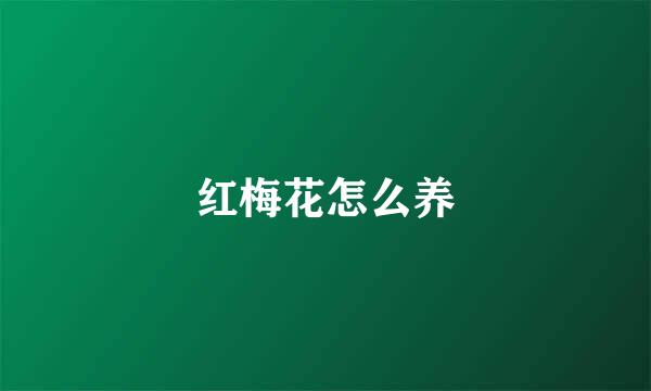 红梅花怎么养
