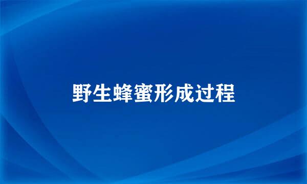 野生蜂蜜形成过程