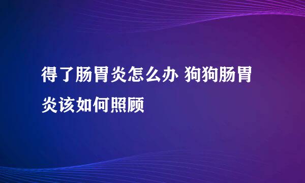 得了肠胃炎怎么办 狗狗肠胃炎该如何照顾