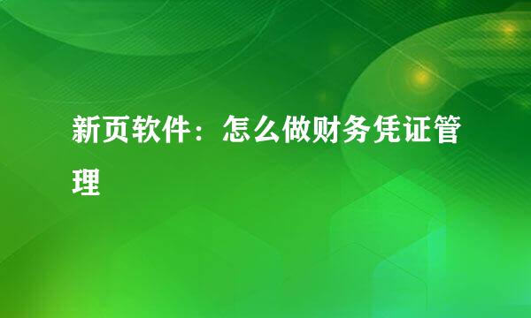 新页软件：怎么做财务凭证管理