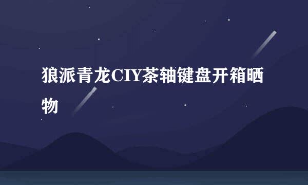 狼派青龙CIY茶轴键盘开箱晒物
