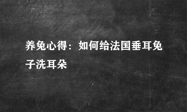 养兔心得：如何给法国垂耳兔子洗耳朵