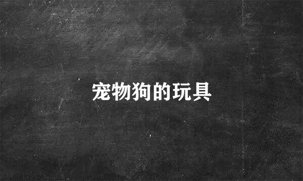 宠物狗的玩具