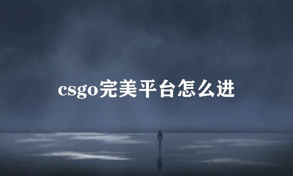 csgo完美平台怎么进