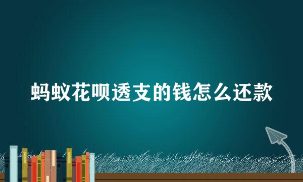 蚂蚁花呗透支的钱怎么还款