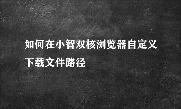 如何在小智双核浏览器自定义下载文件路径
