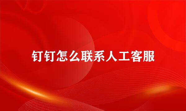 钉钉怎么联系人工客服