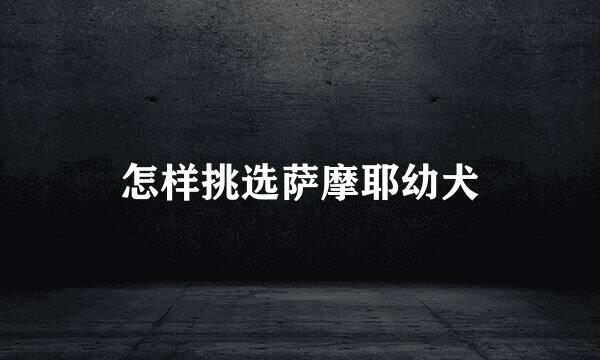 怎样挑选萨摩耶幼犬