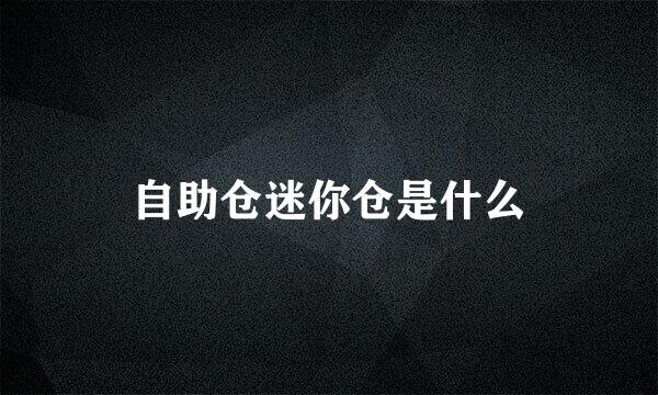 自助仓迷你仓是什么